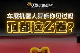 狗都这么卷？车展机器人舞狮你见过吗#2025上海国际车展#2025上海车展#说车祎哥们视频封面