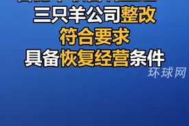 合肥市联合调查组：三只羊公司整改符合要求 具备恢复经营条件视频封面