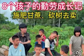 8个孩子本想上山砍柴卖钱，结果成了赔本买卖的生意 #农村生活 #农村美食 #三农 #童年回忆