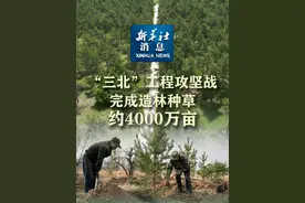 新华社消息｜“三北”工程攻坚战完成造林种草约4000万亩视频封面