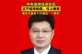 据宁夏回族自治区纪委监委4月23日消息：宁夏回族自治区人大环境与资源保护委员会主任委员张柏森涉嫌严重违纪违法，目前正接受自治区纪委监委纪律审查和监察调查。#反腐视频封面