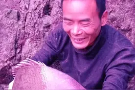 小囿赶海抽干深水坑，这底下的好货真不少，抓到非常大的一条真鲷视频封面