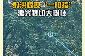射洪惊现“一阳指”，激光秒切大树枝，看科技如何优雅“剪”树！#射洪 #激光砍树 #黑科技