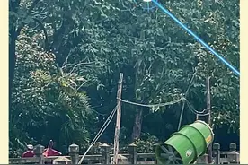射洪惊现“一阳指”，激光秒切大树枝，看科技如何优雅“剪”树！#射洪 #激光砍树 #黑科技视频封面