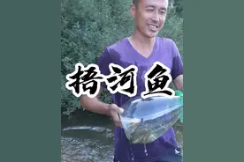 捂河鱼 夏天最降温的方式，就是在山水里玩！#我的乡村生活 #小暑我躲村里降个温 #新农人计划2025 #星乡村星农人 #乡下野外抓鱼视频