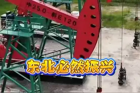 西部大开发取得的成果，有利于东北振兴战略 #东北 #东北人 #黑龙江 #吉林 #辽宁视频封面