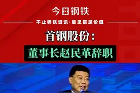 首钢股份：董事长赵民革辞职 #首钢 #热点视频封面