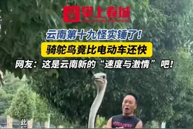 云南第十九怪实锤了！骑鸵鸟竟比电动车还快，网友：这是云南新的“速度与激情 ”吧！#有一种叫云南的生活 #鸵鸟 #姿势要帅 #热门 #万万没想到 @亦佛亦魔 @S . @阿华 【学无止境】驼得住视频封面