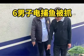 在禁渔区和禁渔期内电捕鱼，6人被澧县警方采取刑事强制措施！ 视频封面