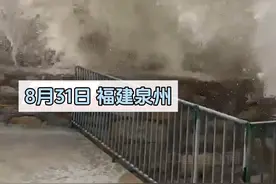 8月31日，#福建 #泉州 ，#台风 “苏拉”登陆前，海边已掀起数米高巨浪，大浪将海鱼冲向岸上，被市民捡走。#台风苏拉 #福建dou知道视频封面