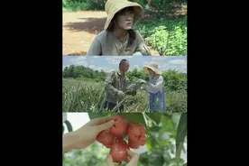 从辞职到现在，这一年我经历了太多太多的事，这一年