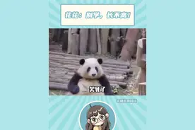 小朋友不睡觉长不高.....#花花 #搞笑 #大熊猫