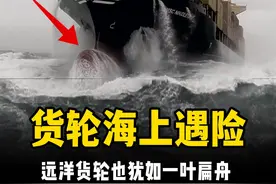 远洋货轮遇到海上风暴，庆幸遇上领航船！ #木子看世界 #远洋货轮视频封面