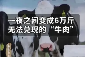 涉案金额超5亿元！300万元投资“云养牛”，一夜之间变成6万斤无法兑现的“牛肉”！#云养牛背后是非法集资骗局视频封面