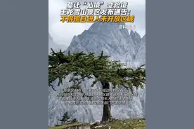 玉龙雪山景区发布通告：不得擅自进入未开放区域 #玉龙雪山