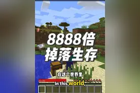 8888倍掉落生存，一镐子五万个钻石矿 #叶枫的日常 #我的世界