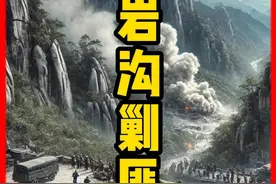 野战部队参战的“白岩沟剿匪行动”！ #万万没想到#真实事件#有故事老王视频封面