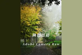 调色没思路的同学,看看这个视频 #ps零基础教程 #摄影后期调色 #acr调色教程