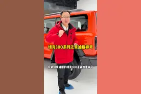 25款坦克300柴油版车型加油标号，你都知道吗？ #坦克300 #坦克300潮野进阶焕新来袭 #25款坦克300来了#坦克300百城万里探秘之旅 #25款坦克300怎么样