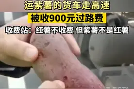 货车司机称运紫薯走高速，被收900元过路费，收费站：运红薯不收费，但紫薯不是红薯视频封面