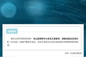 #信阳 涉嫌严重违纪违法，信阳一正科级干部被查！#大河信阳视频封面