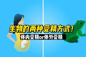生物的两种受精方式:体内受精or体外受精!
#受精过程 #体外受精视频封面