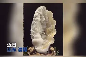 全省首例特大非法买卖砗磲案告破 涉案价值一千余万元#我在山东守护你视频封面