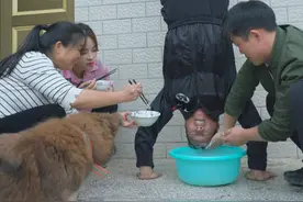 第一次见儿媳妇用塑料袋煮鱼，婆婆居然还支持她 #记录真实生活