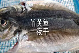 在家做鱼干-适合懒人的半成品菜，竹荚鱼的一夜干 #日料 #美食