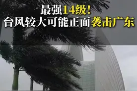 台风韦帕！要正面袭击广东！最高14级！珠海、澳门、香港、阳江这些区域瑟瑟发抖啊！#台风  #暴雨  #台风韦帕