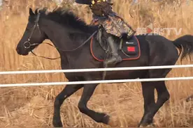 马背追风展少年豪气！9岁男孩身穿明式山纹甲骑射，鲜衣怒马像极了古代大将军！男孩父亲：4岁骑马，目前是骑射运动员中一级，是国内能达到的最高级别。#山纹甲 #鲜衣怒马少年时 #骑射 #策马奔腾 （来源：@刘坤 ）视频封面