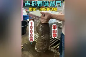 老挝餐厅的后厨藏着一级保护动物穿山甲，还卖那么便宜！ 其实我还是不太理解为什么那么多人喜欢吃穿山甲，我记得好像刷过其他视频说穿山甲其实不补，有没有懂的到评论区说说？#老挝野生动物 #老挝菜市场 #穿山甲 #野生动物 #海外生活