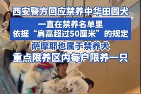 西安警方回应禁养中华田园犬 一直在禁养名单里依据“肩高超过50厘米”的规定，萨摩耶也属于禁养犬，重点限养区内每户限养一只#中华田园犬 #禁养犬 #萨摩耶 #西安视频封面