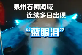 美翻了！5月24日—26日，泉州石狮海域连续多日出现“蓝眼泪”视频封面