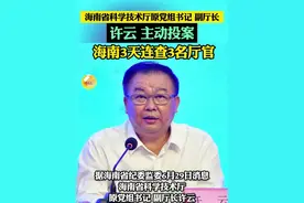 许云，主动投案。中央巡视收尾，海南3天连查3名厅官。 