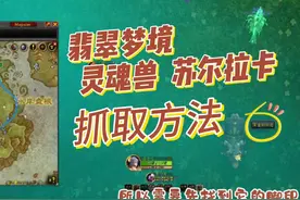 魔兽世界猎人灵魂兽苏尔拉卡抓取方法 #魔兽世界 #游戏日常