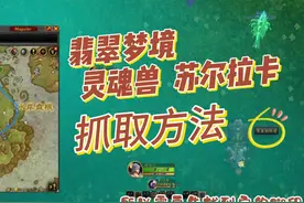 魔兽世界猎人灵魂兽苏尔拉卡抓取方法 #魔兽世界 #游戏日常