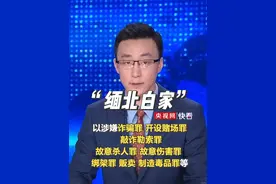 长期盘踞缅北大肆实施电诈！白家犯罪集团首要分子白所成等21人被提起公诉