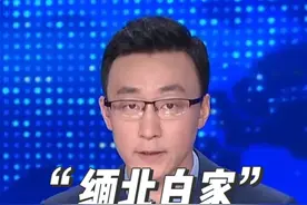 长期盘踞缅北大肆实施电诈！白家犯罪集团首要分子白所成等21人被提起公诉