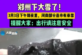 郑州下大雪了！3月3日下午到夜里，河南部分县市有暴雪，提醒大家：出行请注意安全#媒体精选计划视频封面