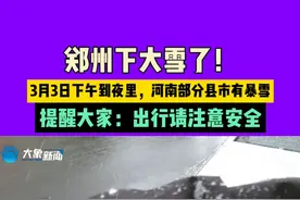 郑州下大雪了！3月3日下午到夜里，河南部分县市有暴雪，提醒大家：出行请注意安全#媒体精选计划视频封面