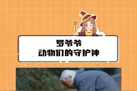 对罗爷爷来说，这个新年依旧不孤单#春节人物短片  #在抖音过好年 #罗爷爷的动物园 #动物园 #治愈视频封面