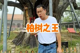 天下第一柏比秦始皇统一六国还要早300年，它有三个未解之谜 #千年古树 #山西旅游  #发现中国之旅  #我的山海旅行日记视频封面