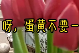 CPN小剧场：见家长篇（597） #博君一肖 #肖战 #王一博视频封面
