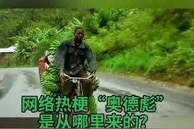 网络热梗“奥德彪”是从哪里来的？#网络热梗  #奥德彪视频封面