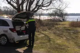 荷兰警方调查中国留学生罗生门失踪案时在水中发现一具尸体 正在确认身份视频封面