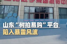 山东“树拍易购”平台陷入暴雷风波，全国多地投资人称无法提现，记者实探总部人去楼空，当地政府正协调处理#媒体精选计划