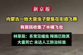 内蒙古一地大量虫子聚集在街道飞舞 有居民收集了半桶飞虫 林草局：系常见蝗虫 降雨已致其大量死亡 未达人工防治标准