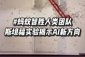 人类输了？蚂蚁的集体智慧揭示了AI发展的新方向 #人工智能 #玩儿个很新的东西 #科技启示录 #科技热点 #AIGC
