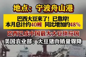 约40艘#巴西 #大豆 船本月停靠宁波舟山港视频封面